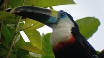 3-Day Eco-Sustainable Private Tour Manu National Park
