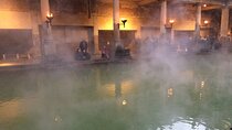 Full Day Bath Private Tour from London