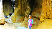 Johannesburg. Drakensberg, Durban St.Lucia, Hluluwe Game Reserve 