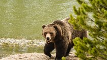 Wildlife and Waterfalls