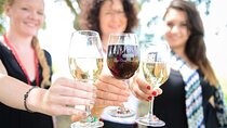 Chauffeured Adventure to Local San Diego Vineyards