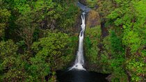 Hana Rainforest Scenic Helicopter Tour