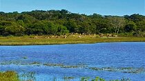 Visit Ella and Yala Safari - 02 Days, All Inclusive