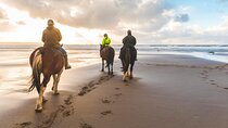 Horseback Ride Through Puerto Plata