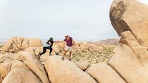 Joshua Tree Full Day Private Tour and Hike