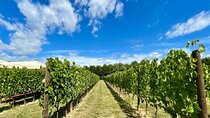 From Florence: Classic Chianti Villages and Wine Roads by Minivan