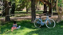 Three Parks Tour | Private Ride by Bike, E-Bike, E-Step or Segway