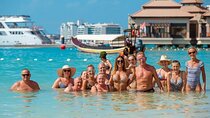 Drive your Buggie around the Corners of the Cozumel Island only from Cancun
