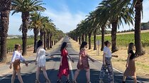 Full-Day Private Barossa Valley Wine Bus Tour