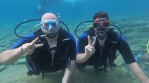 Beginner's SSI Intro dive w/2 Dives & transfer