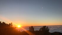 Fanal Forest Private Sunset Hike 
