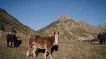 From Barcelona to Andorra Small Guided Group Day Tour