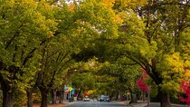 Half Day Adelaide City Highlights Mt Lofty & Hahndorf Tour Join Us Tour