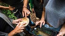 Private Outdoor Escape Room Magisches Portal