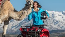Full Day Private Trip from Marrakech to Atlas with Lunch 
