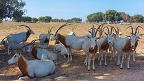 Souss Massa National Park Half Day Trip from Agadir