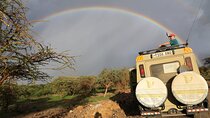 3-Day Private budget safari 