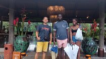 Seminyak To Ubud Private Transfer