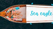4 Island Sunset Tour by Luxury Longtail Boat with BBQ Dinner