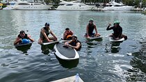 Group eFoil Lesson - 3 Boards 4-6 People