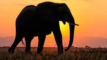 5 Day Private Kidepo Valley Park Safari in Uganda 