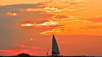 Blue Dolphin Catamaran Snorkeling Sunset Cruise from Tamarindo