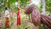 Exclusive private luxury cocoa experience