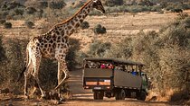 10-Day Private Tour Johannesburg to Cape Town