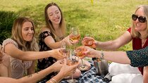 Pour Decisions | Wine Tour in Yarra Valley (Private Tour)