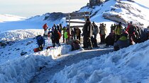 7 Days Machame Route Kilimanjaro Hiking | Climbing Tour 