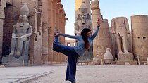  From Marsa Alam to Luxor Privat full day tour with lunch 