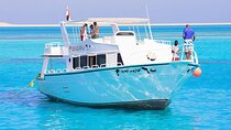 Small group to Dolphin House and Banana Boat Fun from Hurghada