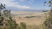 Kilimanjaro 10 Days Trek Northern Circuit Route