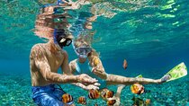 5-Island Speedboat Tour in Cartagena and the Rosario Islands
