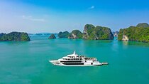 Sea Octopus Cruise 5 Star Luxury Day Cruise in Halong Bay 
