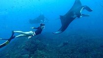 Snorkeling In Nusa Penida And Uluwatu Sunset Tours