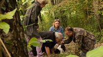 5 Hours Truffle Hunt Experience with Cooking Class