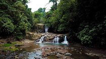 Cahuita National Park Nature Walk & Waterfall Tour