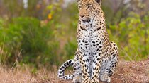 Aquila Safari and Cheese & Wine Tasting with Private Transfers