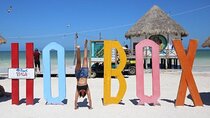 Holbox Punta Mosquito By Ferry only from Playa del Carmen