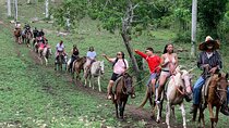 Horseback Riding with Pickup from Punta Cana