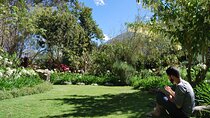 Private Multi-Day Machu Picchu Tour Wellness Retreat