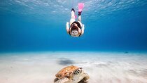 Turtle Sightseeing at Akumal & Underground Caves Tour