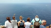 Cape Point & Penguins: A Private Cape Peninsula Guided Day Tour.
