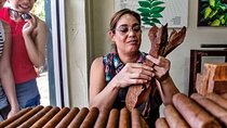 Little Havana Walking Tour + 1 Hour Everglades Airboat Ride