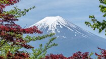 Private 7-Day Japan Classic Tour 