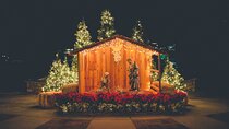 Nativity Scene Christmas Special Tour