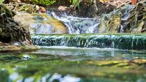 Krabi's Hidden Gems: Emerald Pool & Hot Spring Tour