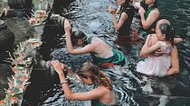 Ubud Tour With Tirta Empul Holy Water Temple 