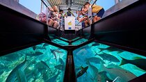 Semi Submarine Hurghada